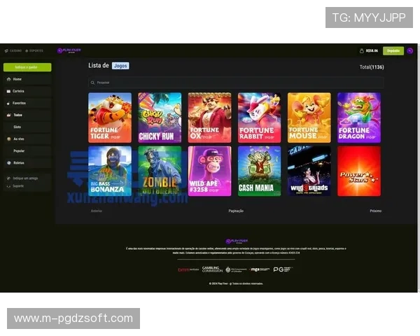 PG游戏APP官网最新版本下载安装指南，全面解析游戏特色与安全保障措施